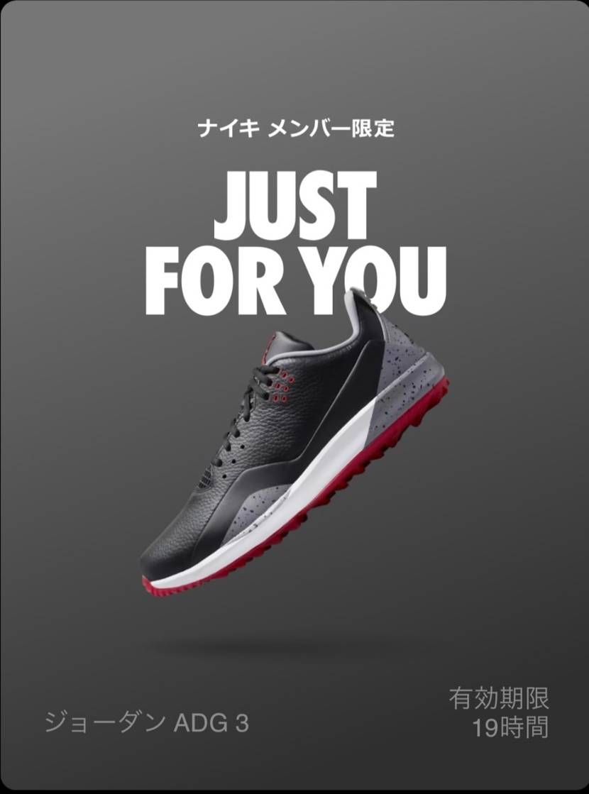 これってNike.comの限定オファーですよね？珍しく画面が見れました。