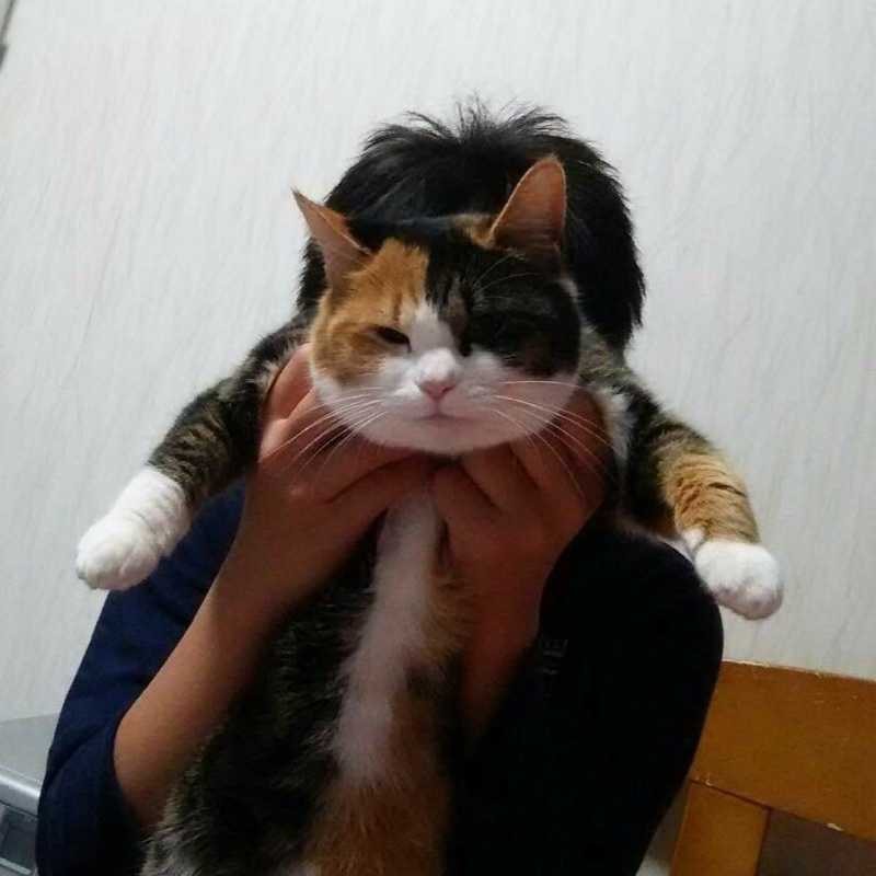 宮坂空翔