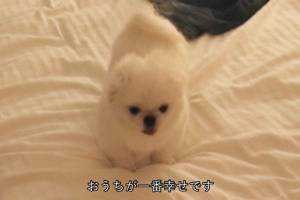 み。