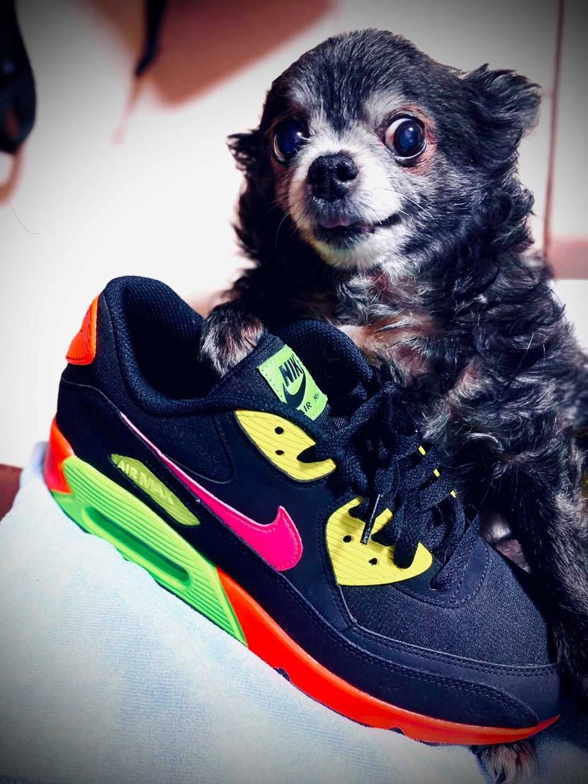 airmax  ネオン‼️

スニーカー整理していたら、１つだけ出してないス