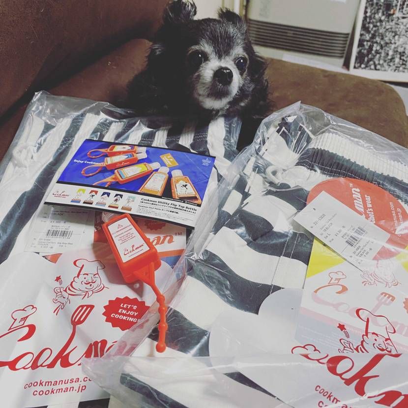 さっき、囚人柄を購入して履いてみたけと、めちゃ目立つやん。。