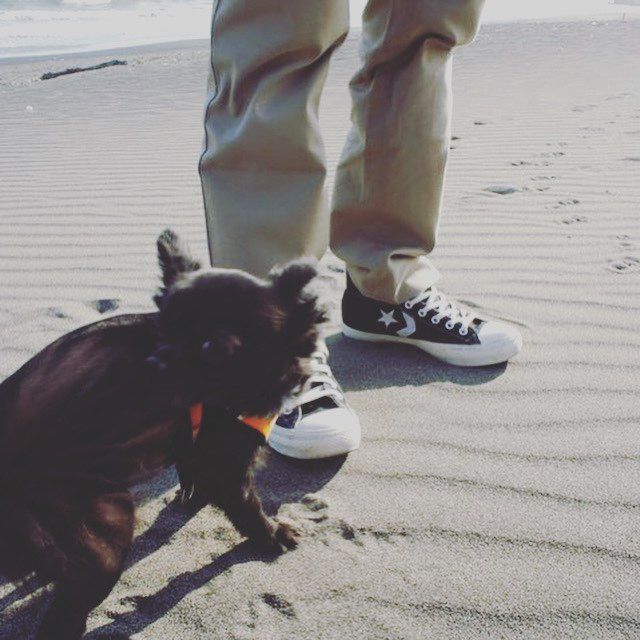 コンバースを履いていた時期もあったな。。