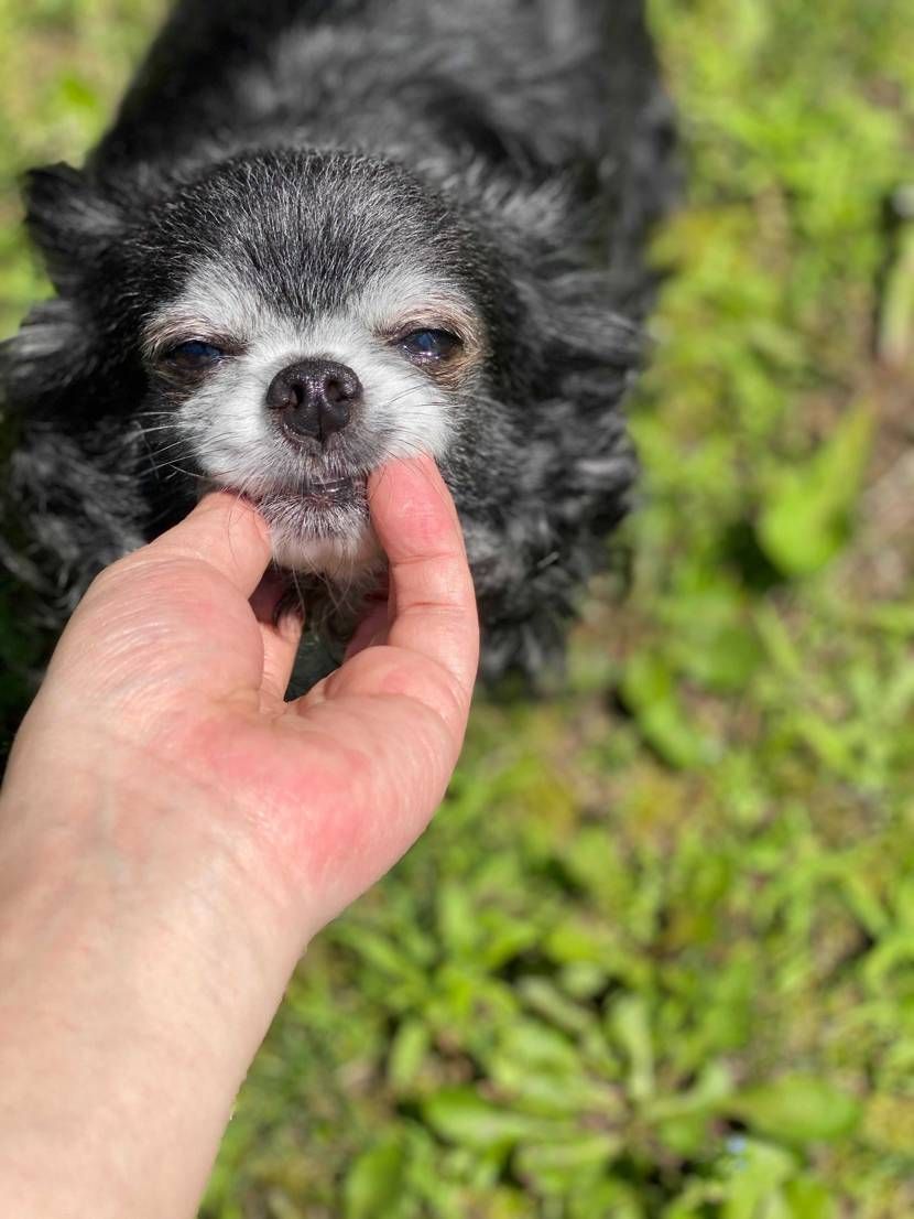 6月25日〜今日までの使ったお金💰💴💴

アパレル代10万

スニーカー