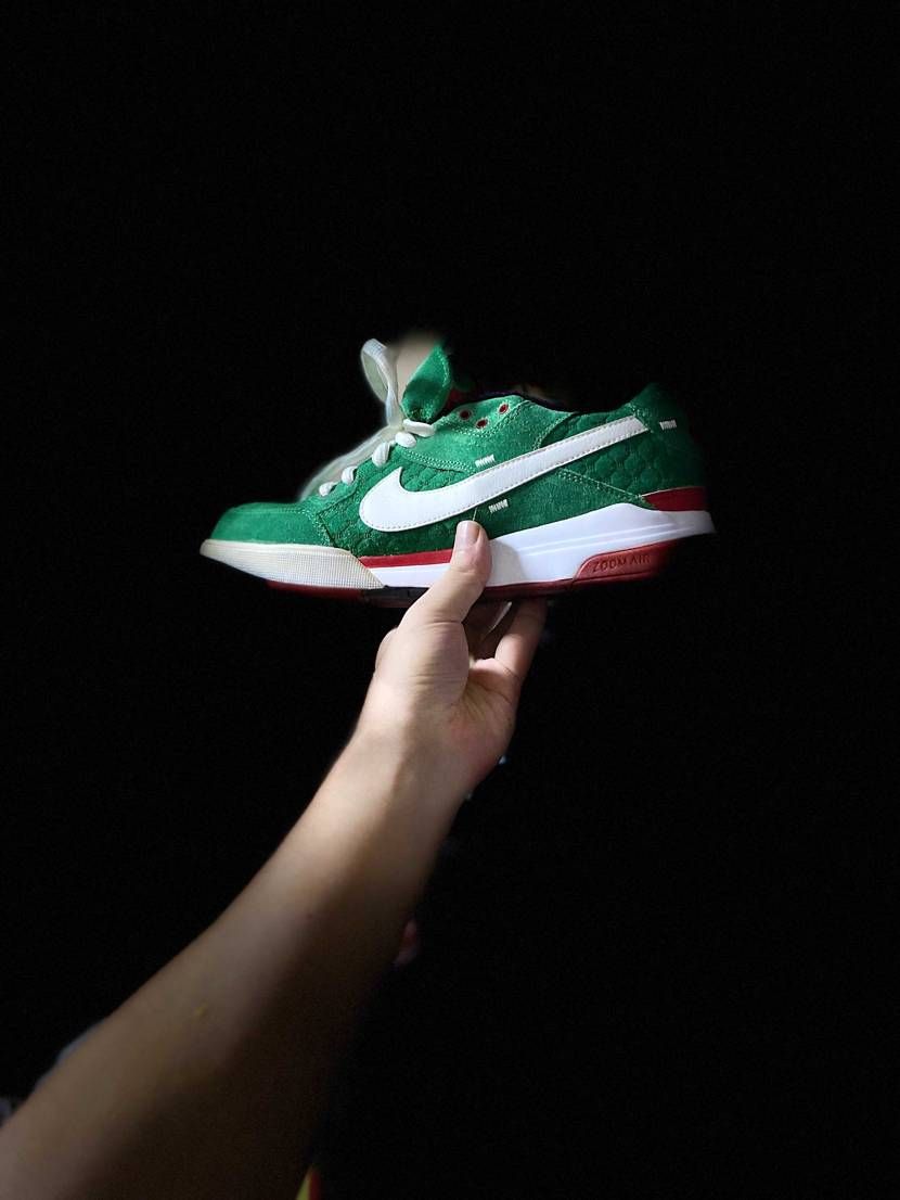 NIKESB   ZOOM PAUL RODRIGUEZ 3 

緑好きな私