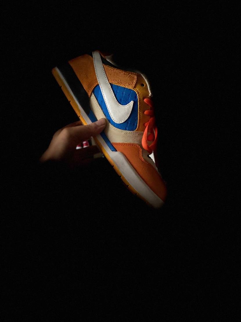 NIKE ナイキ SB ポールロドリゲス

美中古で購入