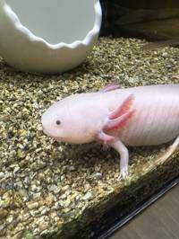 ざぁんと