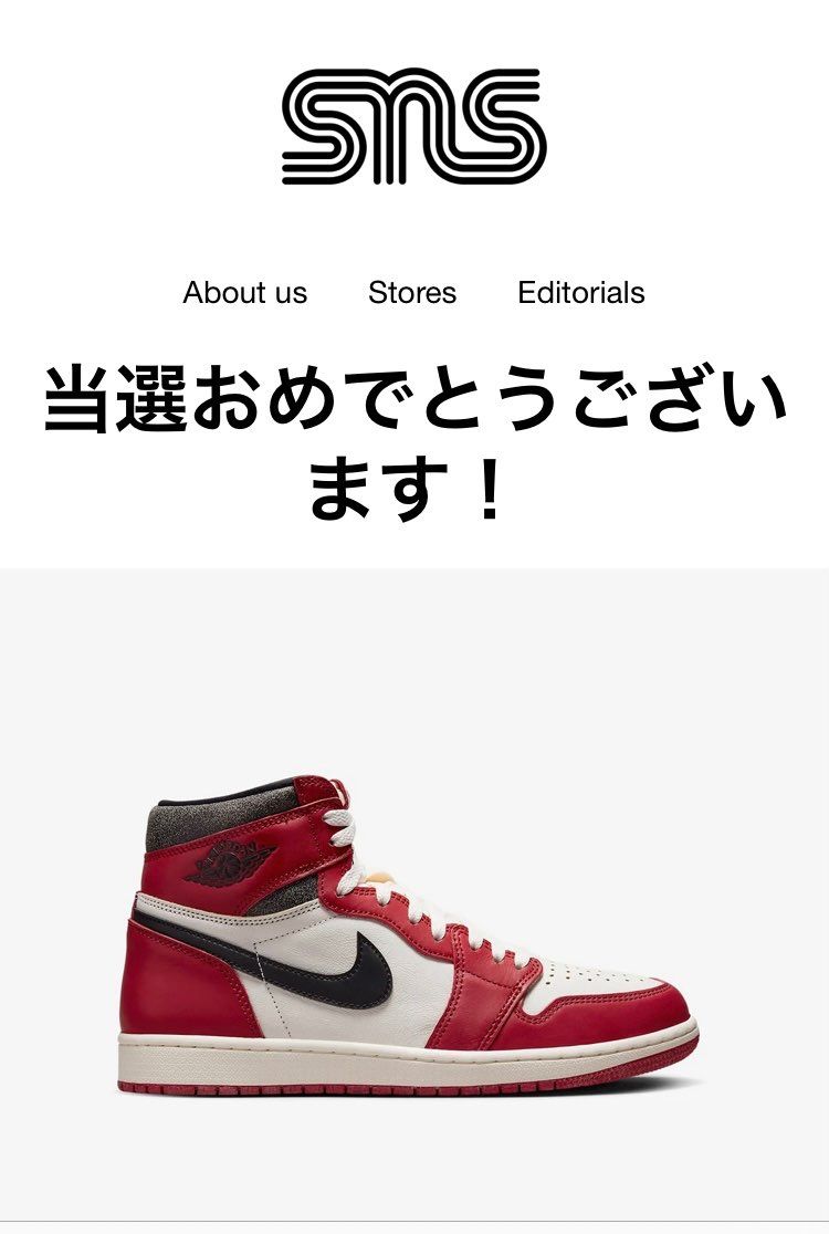 SNS初当選