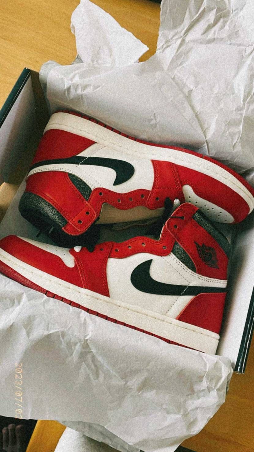 Chicago可愛すぎ~🫶