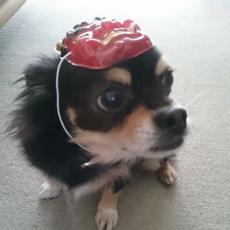 KOICHI