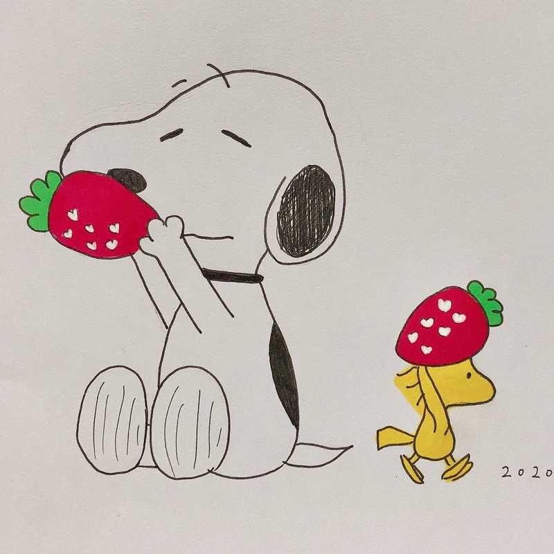 すぬこ