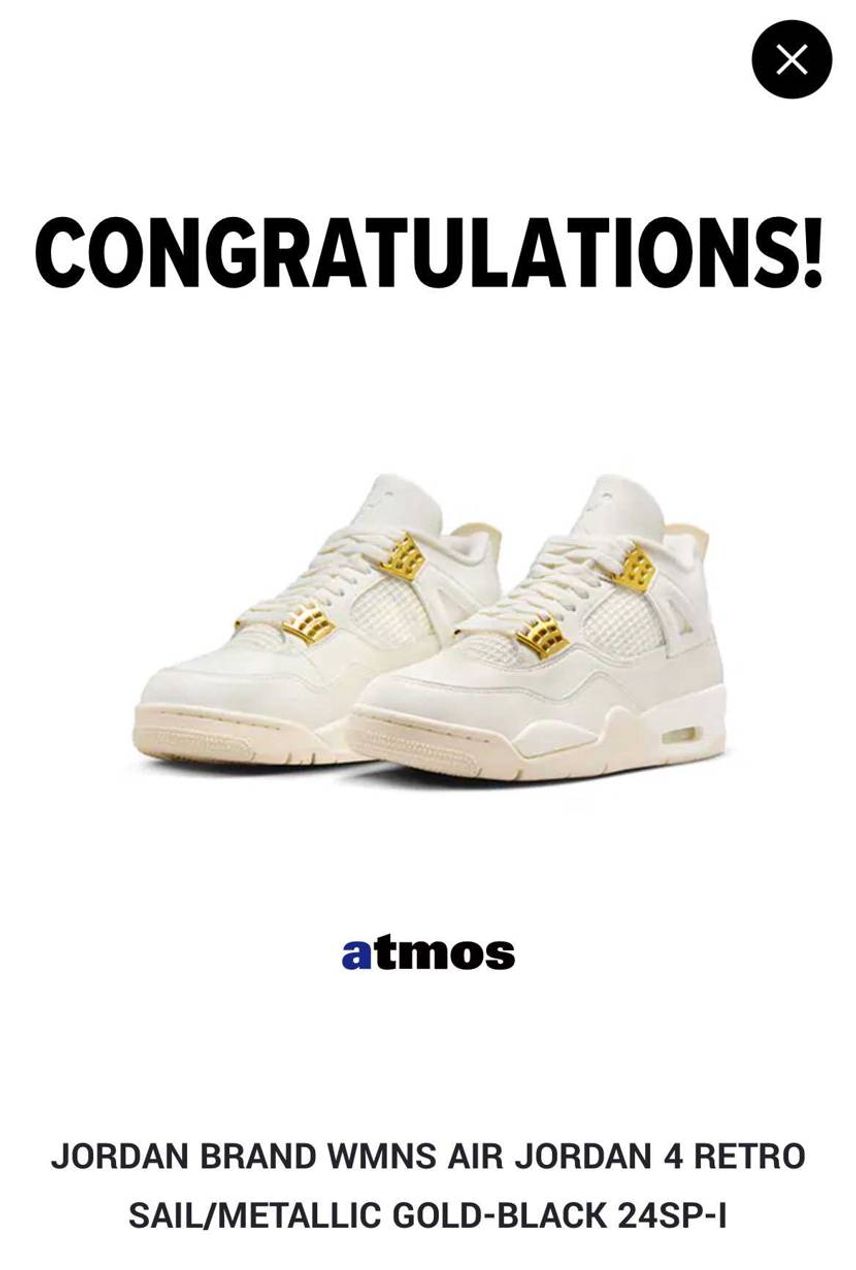 リーク見た時から欲しかったので
全力投球した結果(支援含む)
SNKRS
