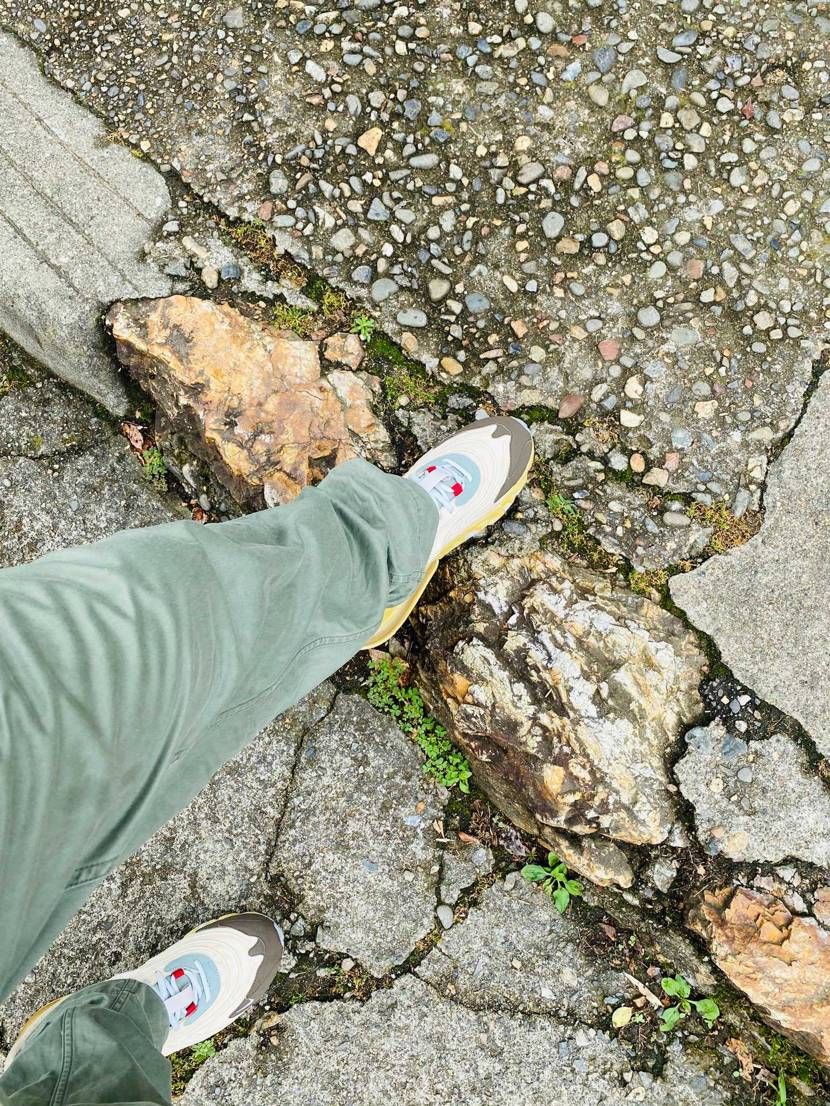 山の散歩道を歩くと聞いて