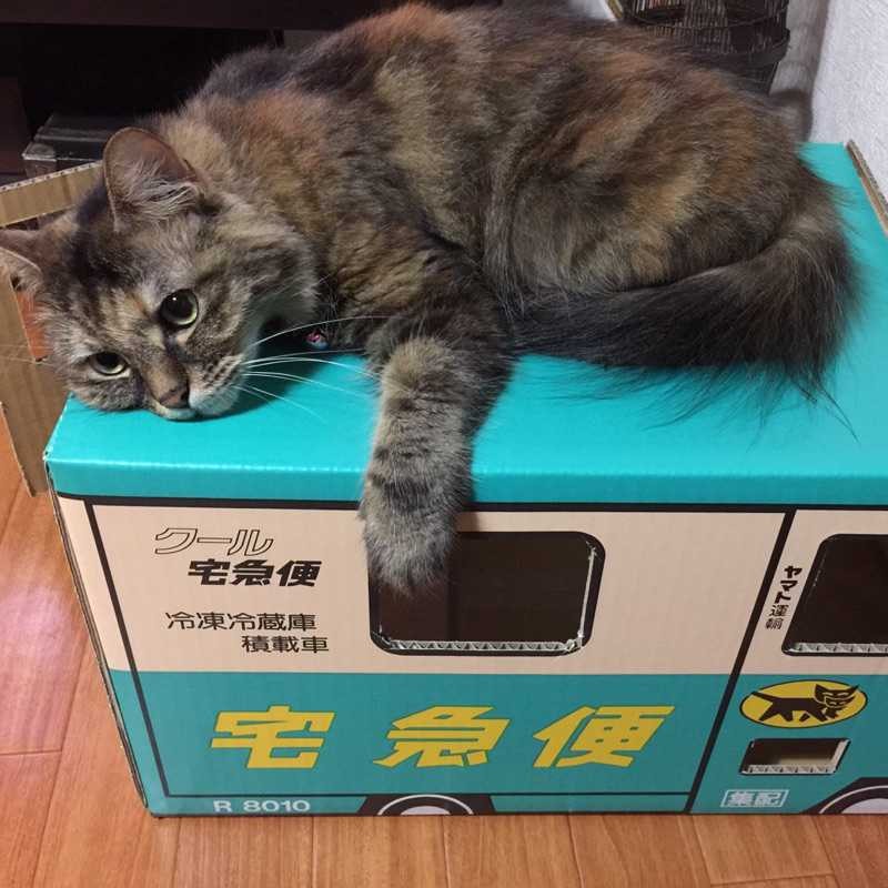 みやじ(出品者)