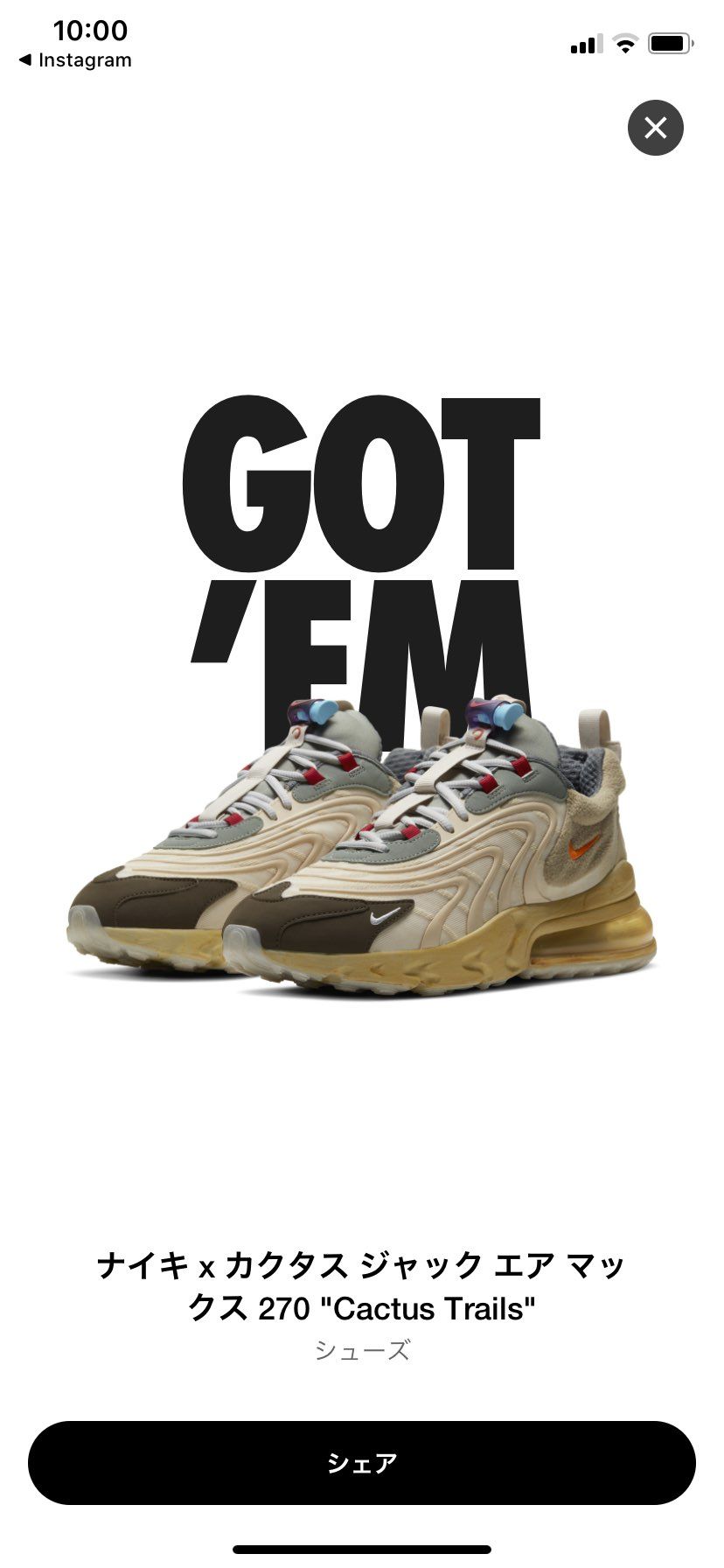 アパレルは全滅でした😔