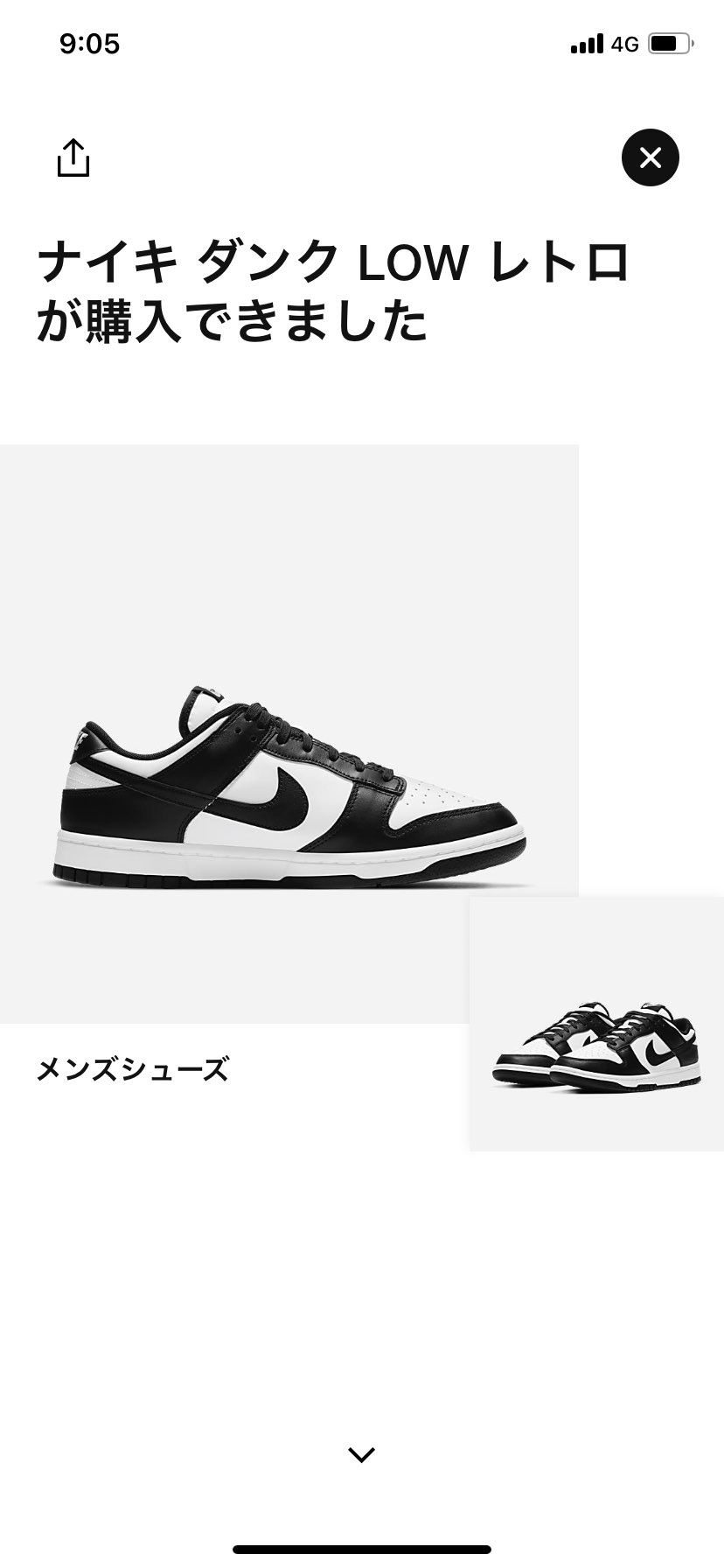 初パンダ🐼