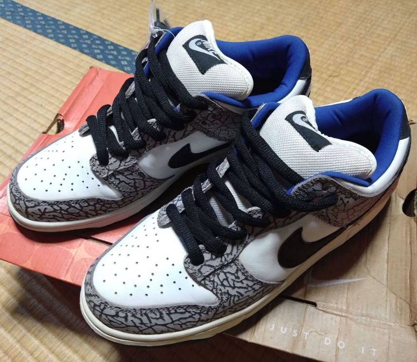 ダンクSBって今じゃ当たり前のように販売されてるけど発売当初は衝撃的だったよな。