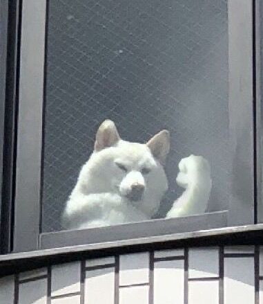 なんも当たらんし、買えないし…
NIKEは、わいの事嫌いなんですか〜😭