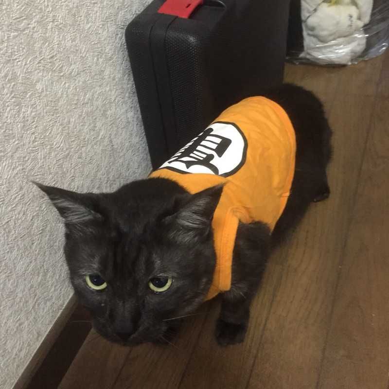 Ryota