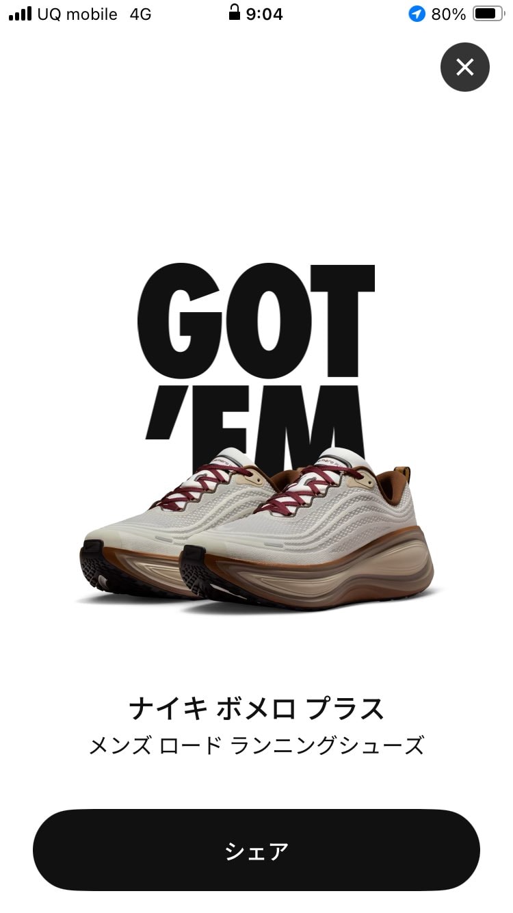 ここ最近の本命ゴッテムできました。AJ1、max95、dunkSBなども購入して