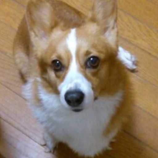 縷々