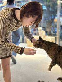 ねこさん