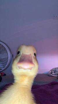 god
