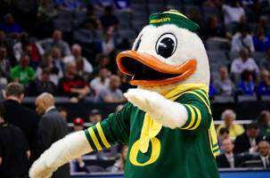 SnkrDuck
