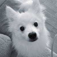 ユーザーアイコン