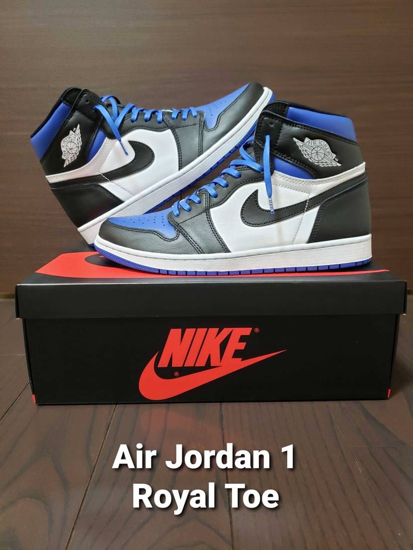 結局購入してしまった