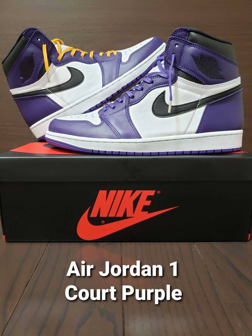 結局購入してしまった