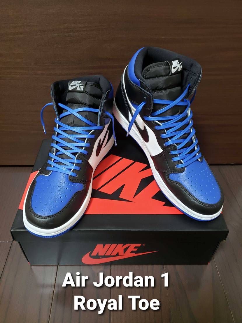 結局購入してしまった