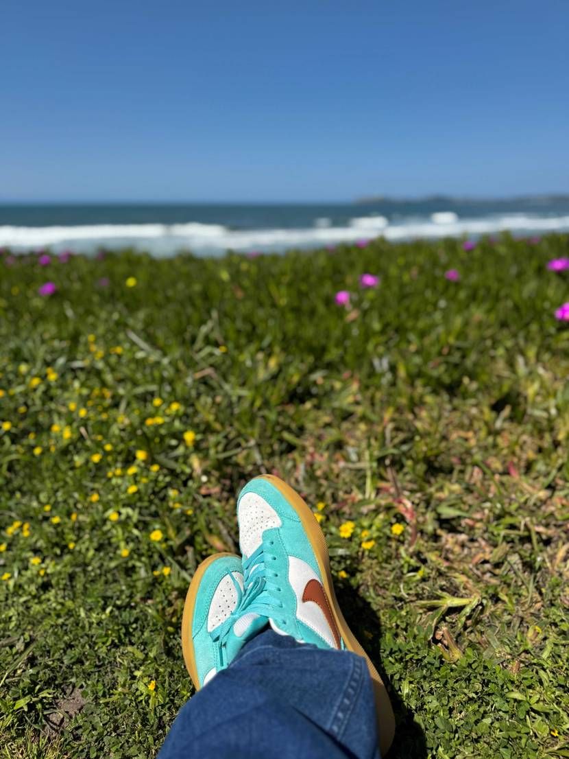 スニーカーと海とおっさん
バクヤギクの花言葉は"幸福"だそうです。
今日1日