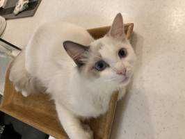 ユーザーアイコン