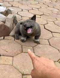 ユーザーアイコン