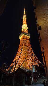 tarao