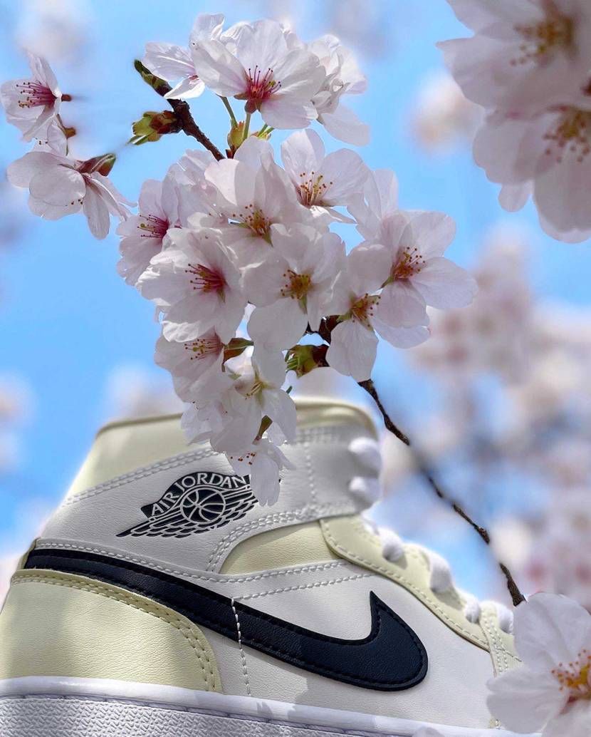 3月最後の休みの日
めっちゃ花見日和でした🌸

桜🌸とココナッツミルク🥥相