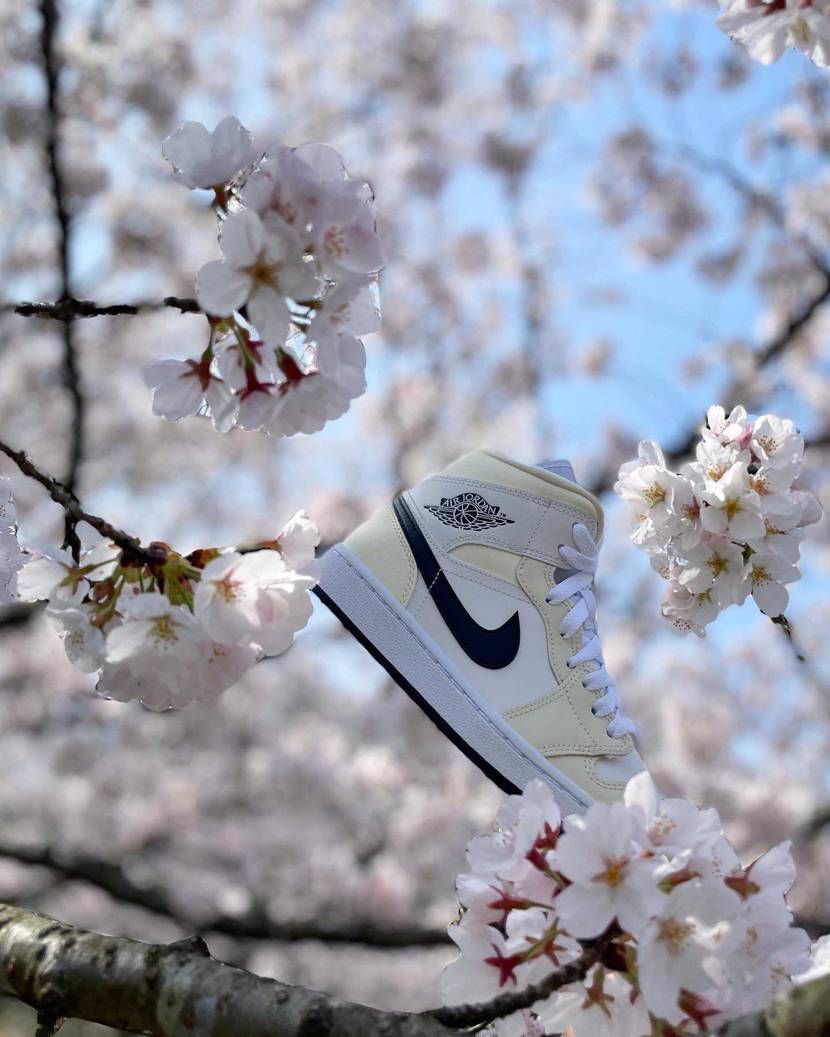 3月最後の休みの日
めっちゃ花見日和でした🌸

桜🌸と