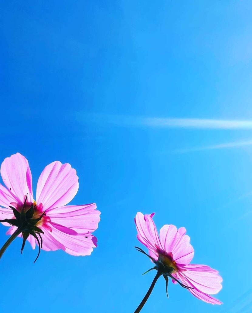 連休取ってちょっと息抜きに🤗

めっちゃ天気良かったので