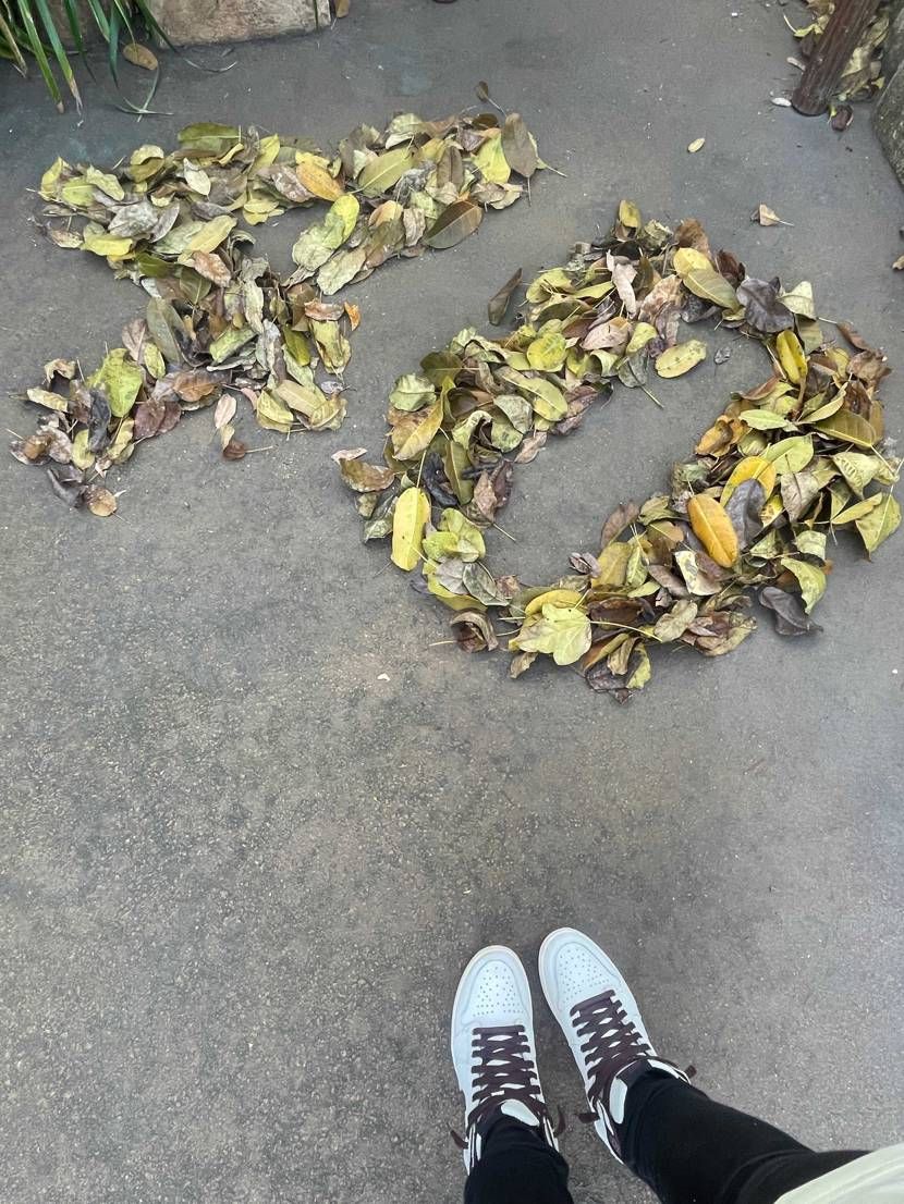 先日また一つレベルが上がりました😆🙌🎂
この👟は特別な１足