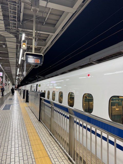先日、ニューバランス履くならどれがオススメか聞いたらV6との