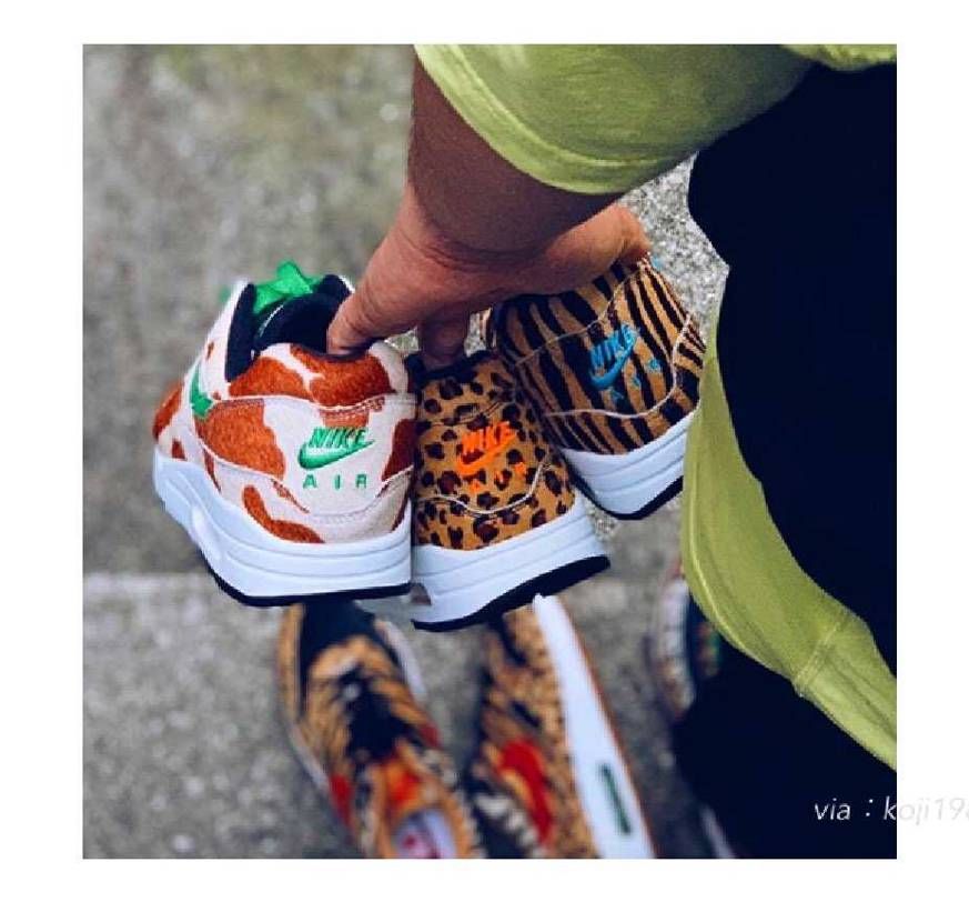 
とら トラ 虎 🐯