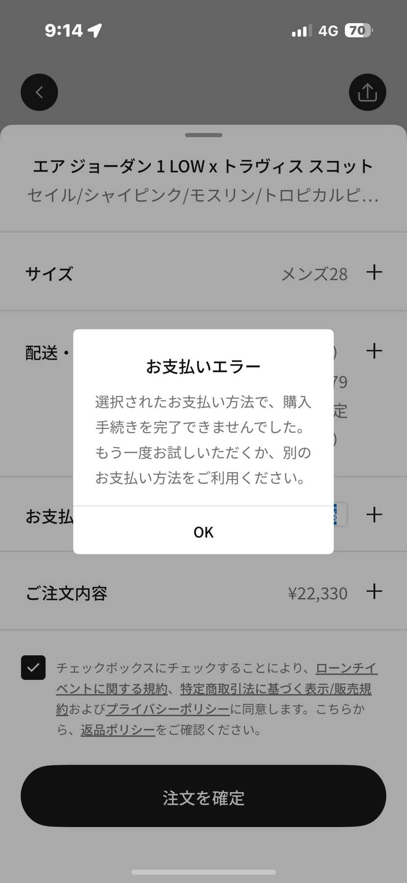 こちらで皆様のご助言を見つつ、連打したりクレカ変えたりしてみ