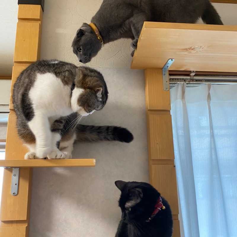 いつき