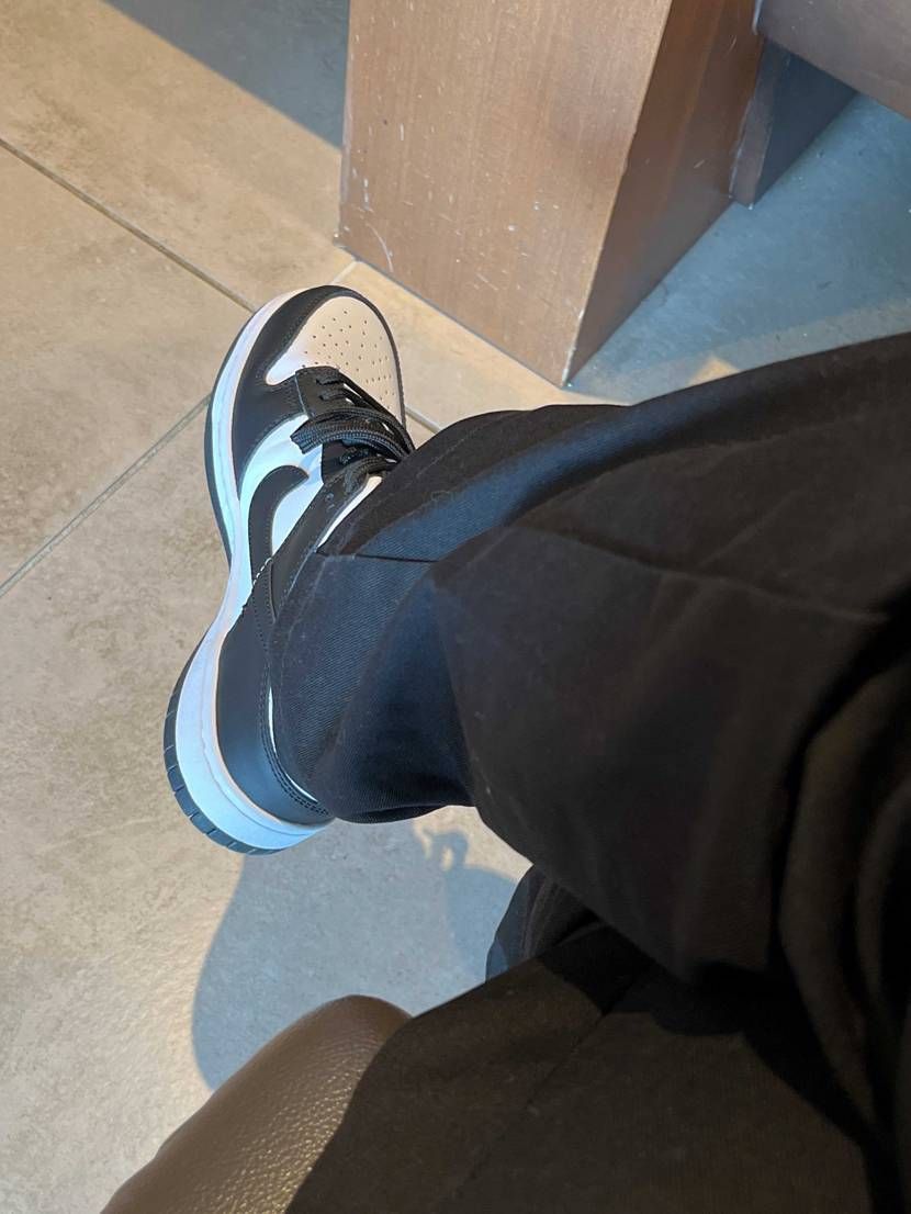 🐼