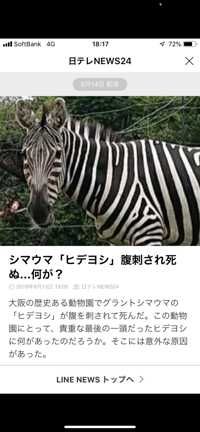 ひでよし