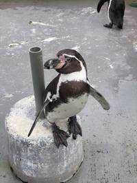 たけ