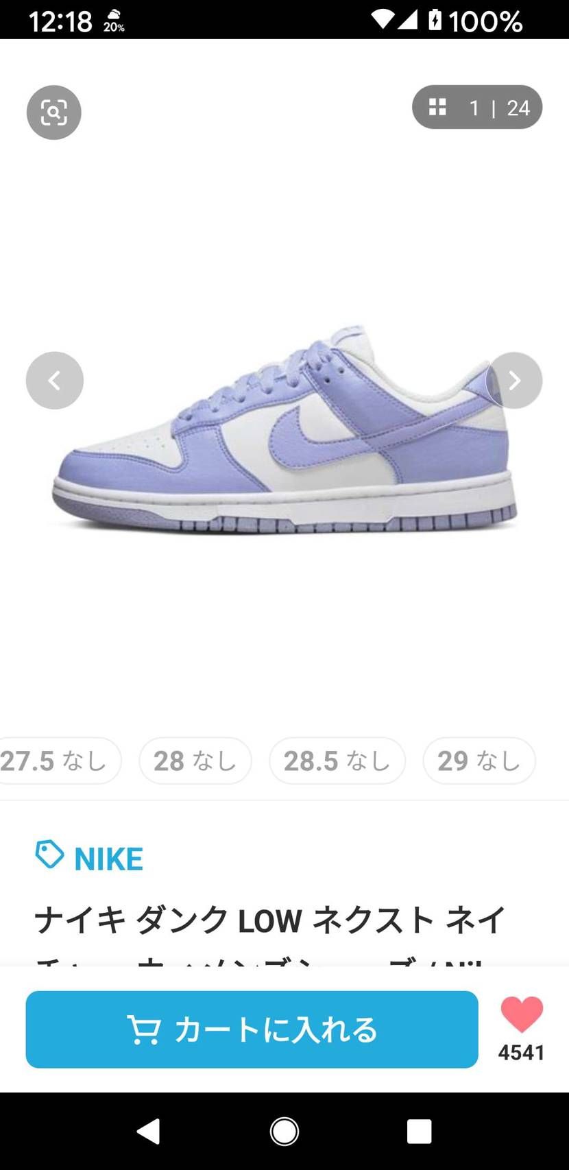 なんか初見のダンクがZOZOでいきなり発売されていたので勢いで買ってしまいました