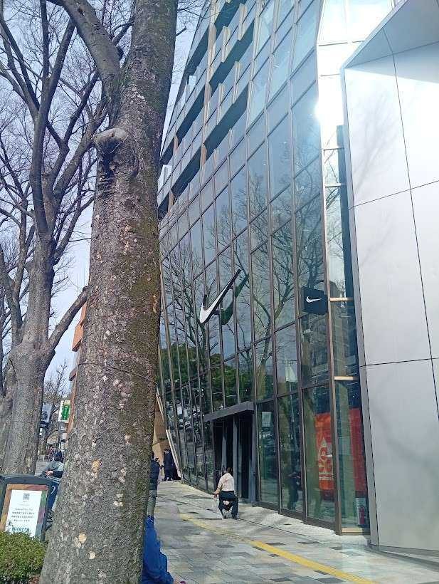 weekendに並ぼうと原宿まで来ましたが、皆さんの投稿を見たら当選する気がしな