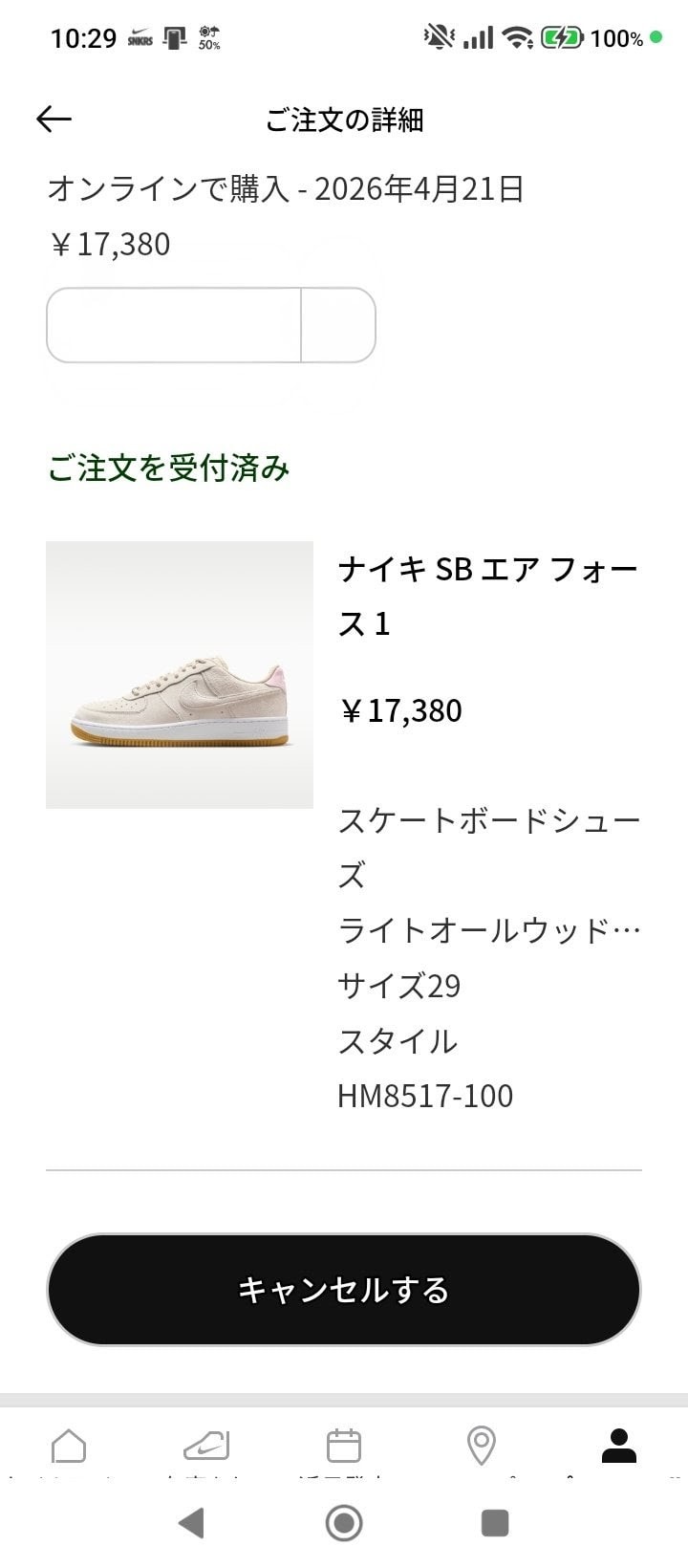 やっとリス来た