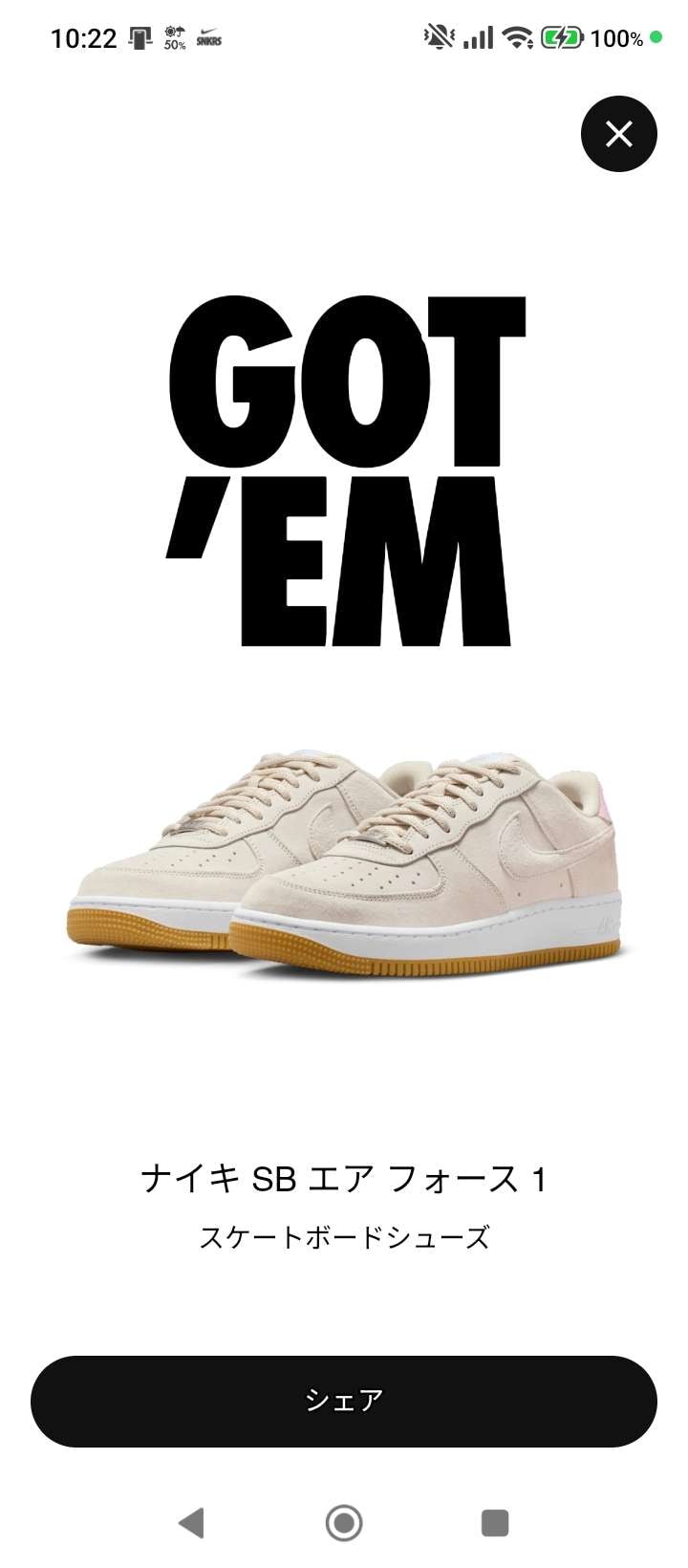 やっとリス来た